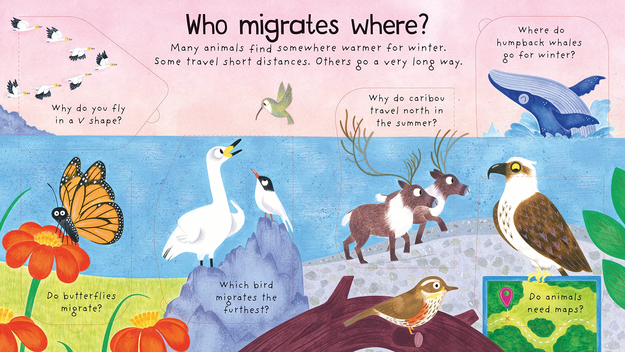 Lift-The-Flap First Questions And Answers : Where Do Animals Go in Winter?