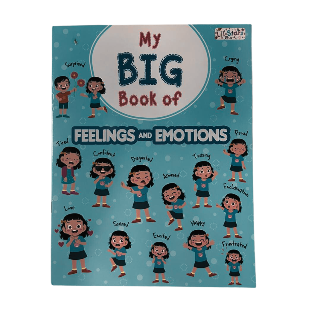 My Big Book of Feelings and Emotions - Paperback