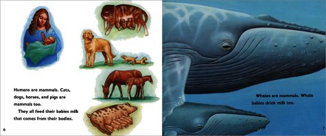 Baby Whales Drink Milk: Let's Read and Find out Science - 1
