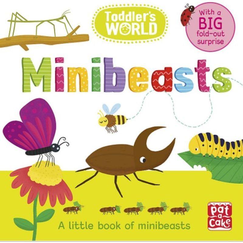 Minibeasts: A little board book of minibeasts - Ignited Minds